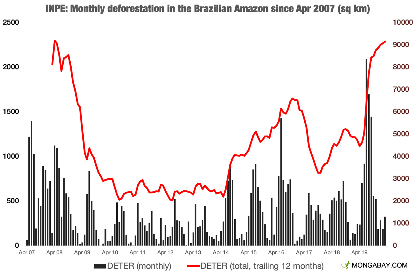 How the COVID-19 Pandemic Has Affected the Amazon Rainforest